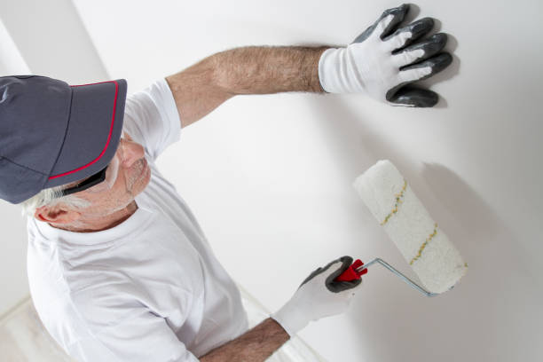 Best Mold Odor Removal Services  in Dahlone, GA