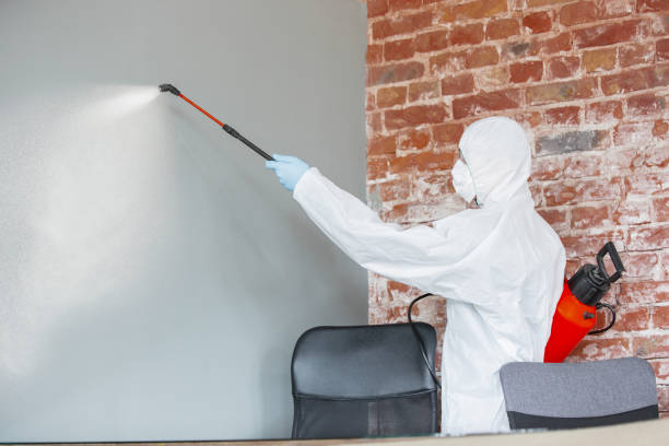 Best Environmental Consulting for Mold Prevention  in Dahlone, GA