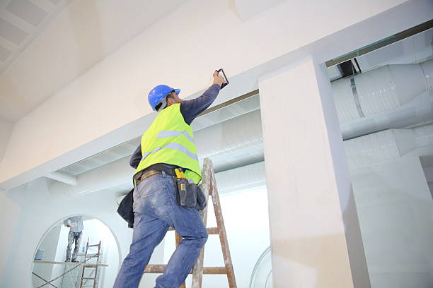 Best Environmental Consulting for Mold Prevention  in Dahlone, GA